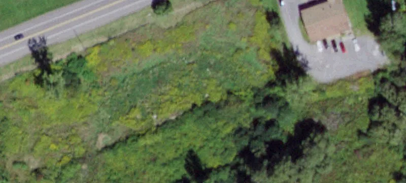 Dryden Rd