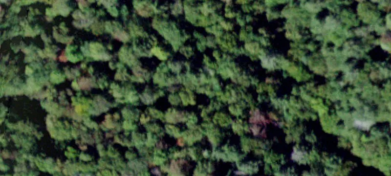 2000 Frost Vly Rd