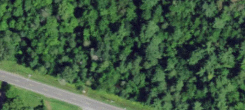 Ss Jct Rd