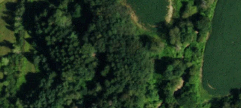 Nys Rte 242