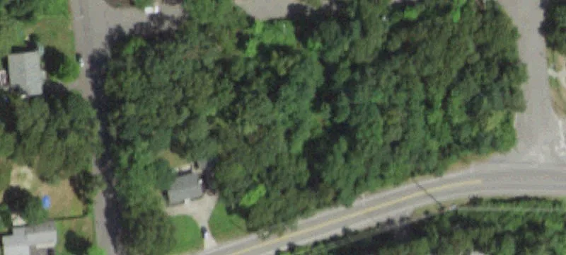 Long Is Ave