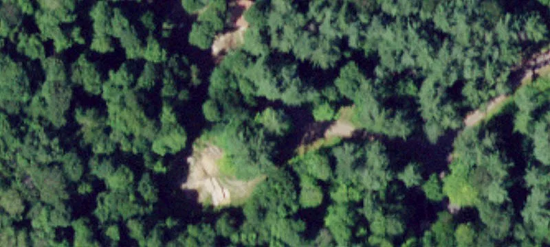 12037 State Rte 365ws