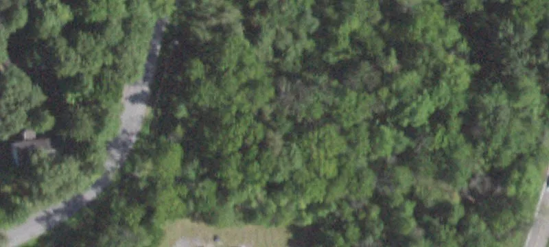 Rte 55