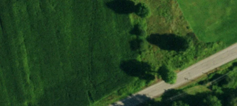 Rte 98
