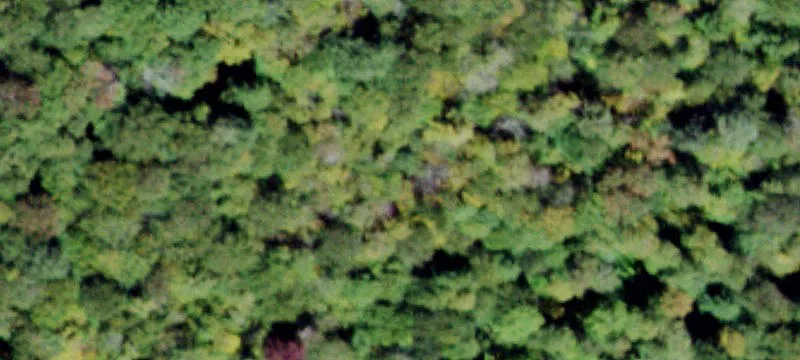 2000 Frost Vly Rd