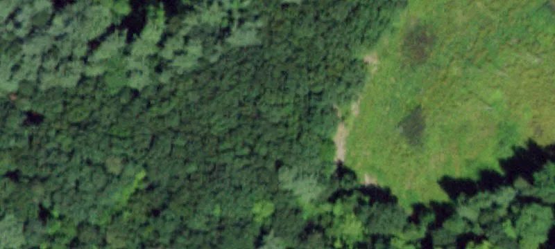 Us 20