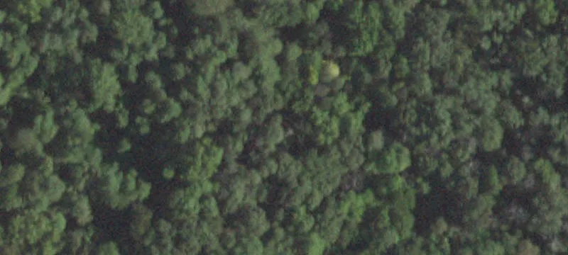 55 Rte 22