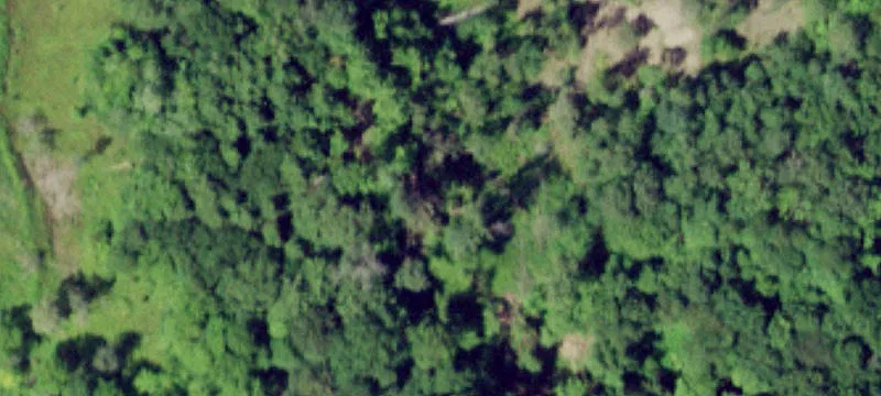 Nys Rte 365