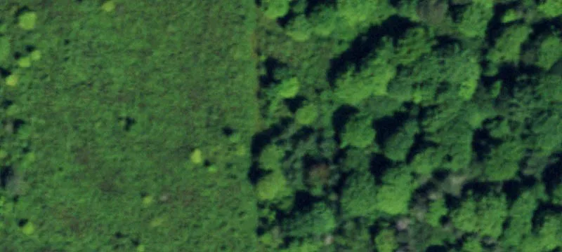 Brant Angola Rd