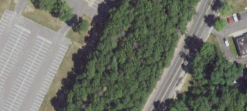 Mastic Rd