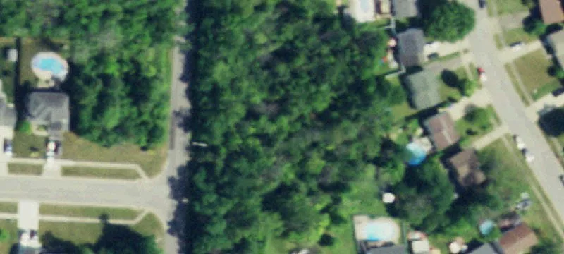 Eckhardt Rd