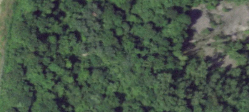 Stump Rd