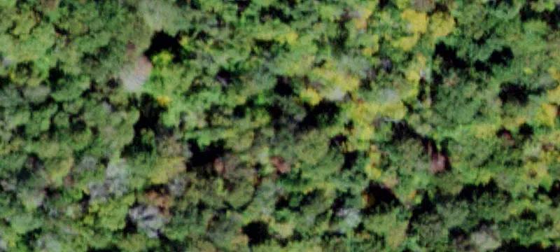 2000 Frost Vly Rd