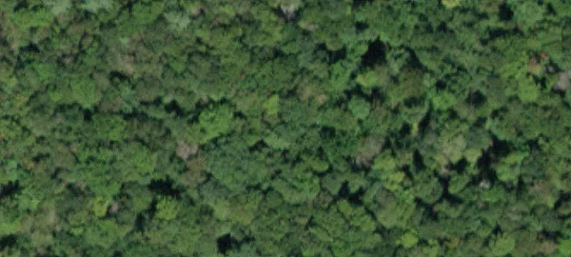 Beaverkill Rd