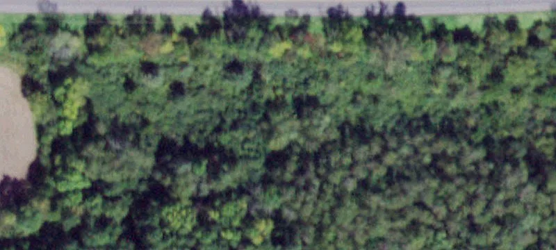 State Rte 31