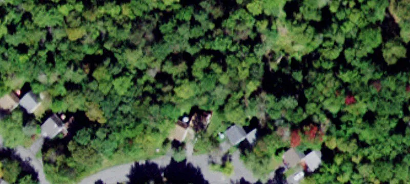 Robert Rd