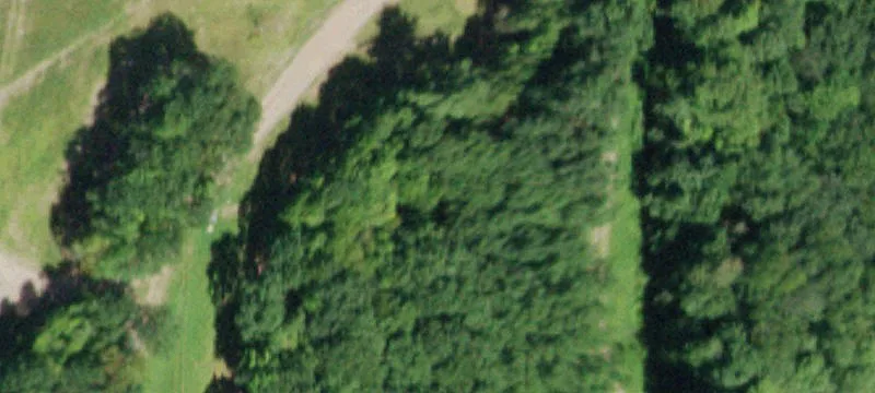 121 Galli Curci Rd