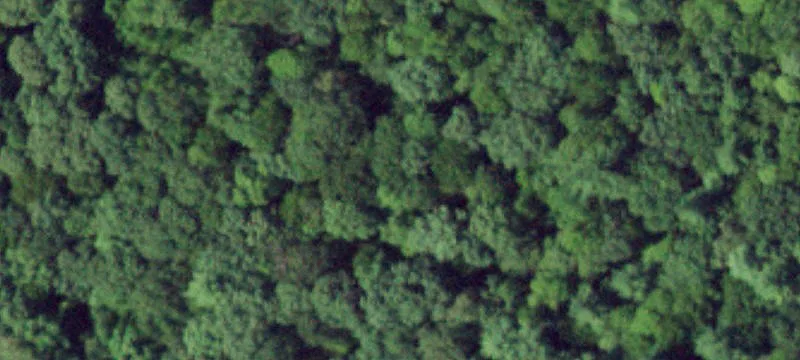 Hancock, NY 13783