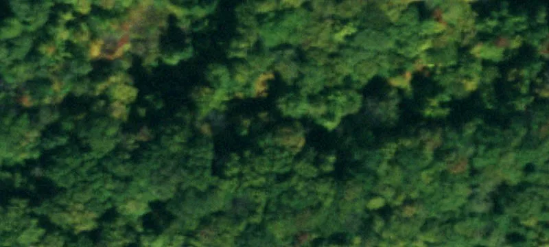 New Oregon Rd