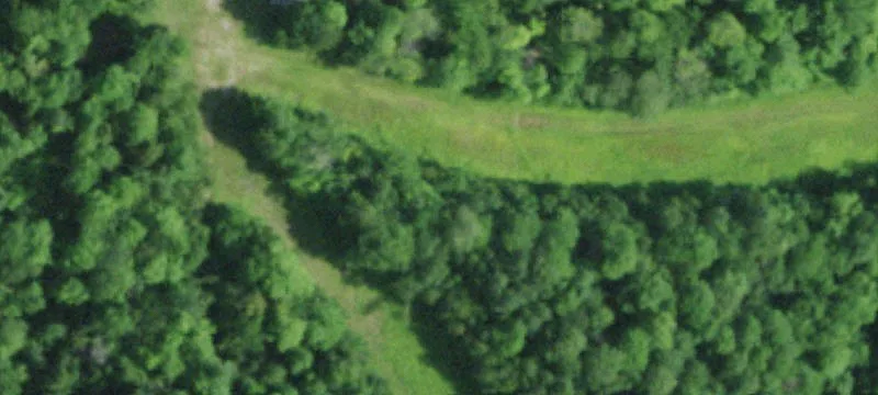 Johnson Rd