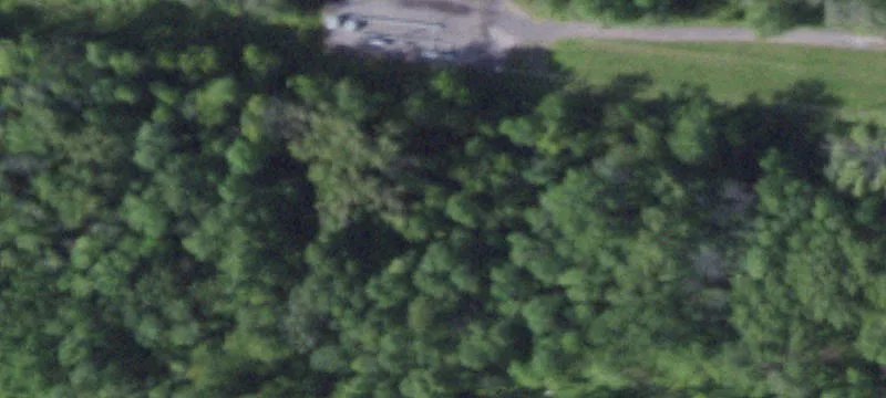Wheeler Rd