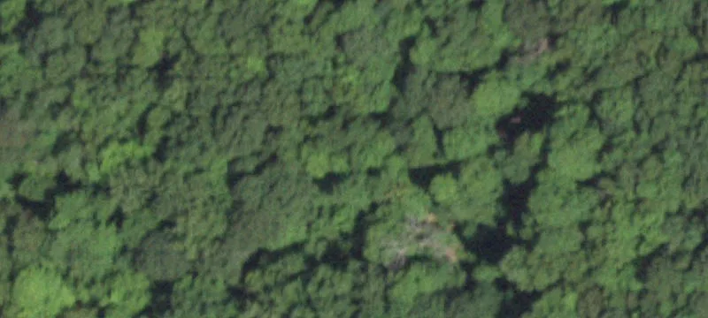 Colabaugh Pond Rd