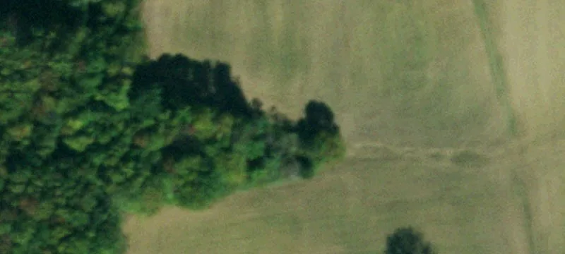 Belcher Rd