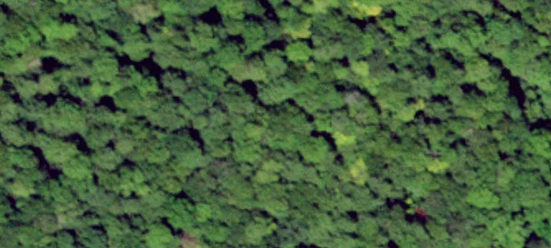 French Woods Rd