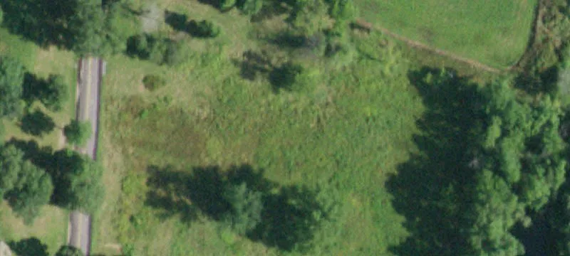Woods Rd