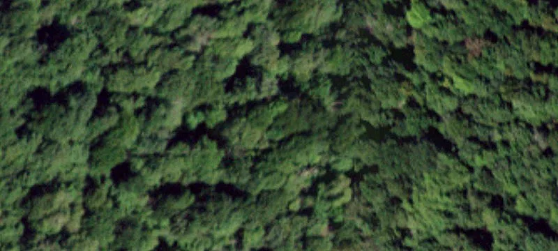 Honnedaga Lk Rd