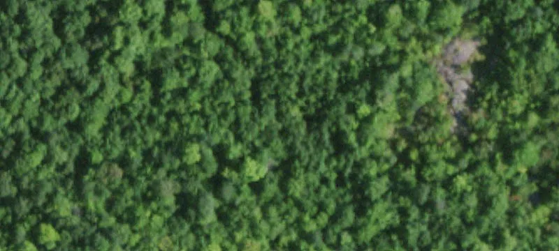 Potsdam, NY 13676
