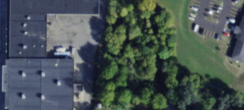 Maple St