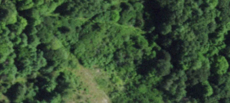 Nys Rte 9n