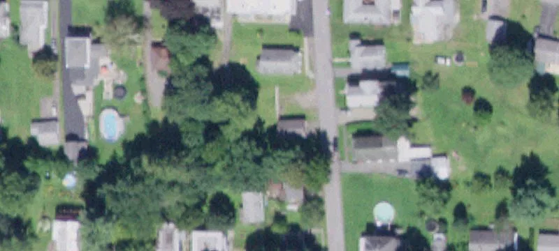 Robinson St