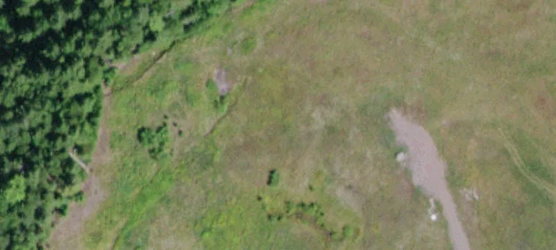 Hunter, NY 12442