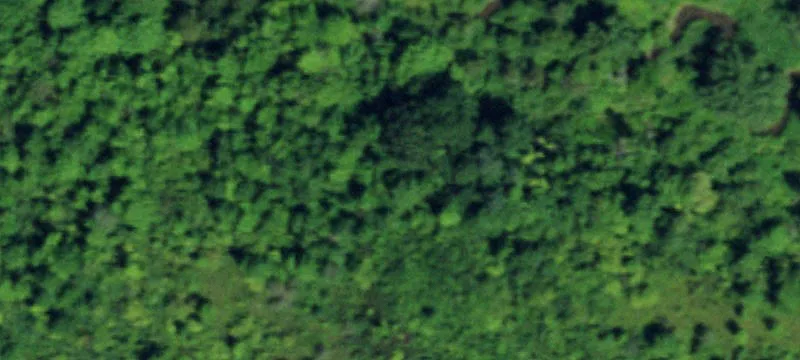 Brant Angola Rd