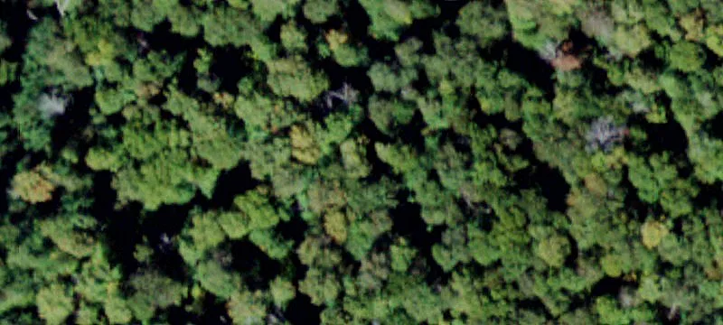 2000 Frost Vly Rd