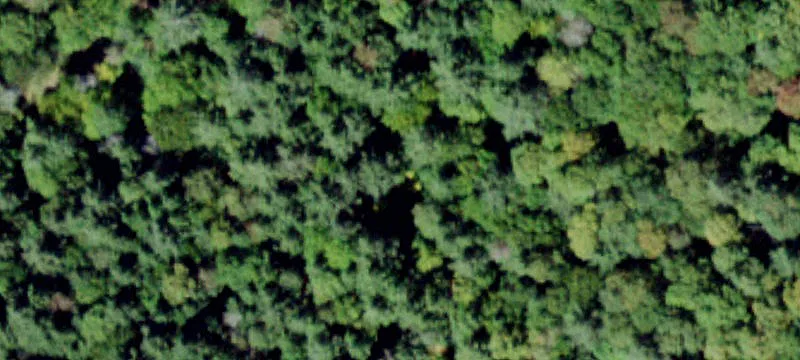 2000 Frost Vly Rd