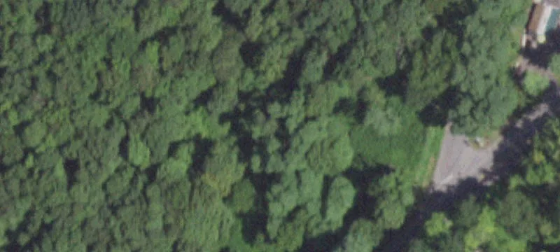 11 Rte 311