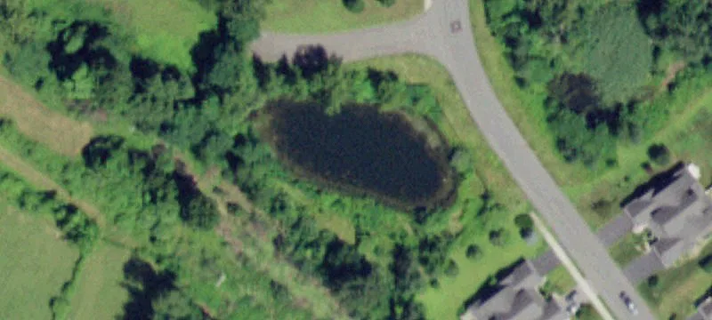 Rockrose Dr