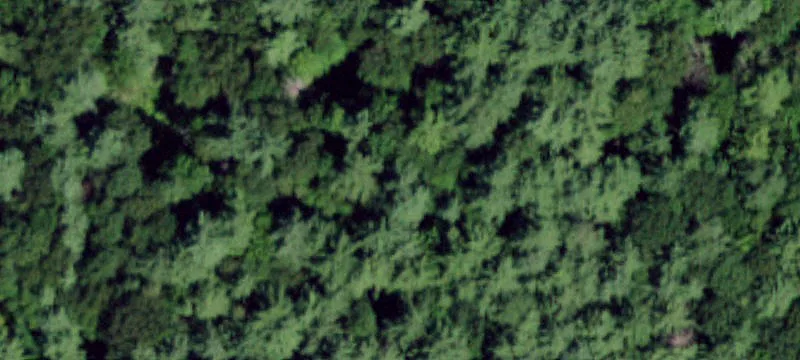Rt 9th 9