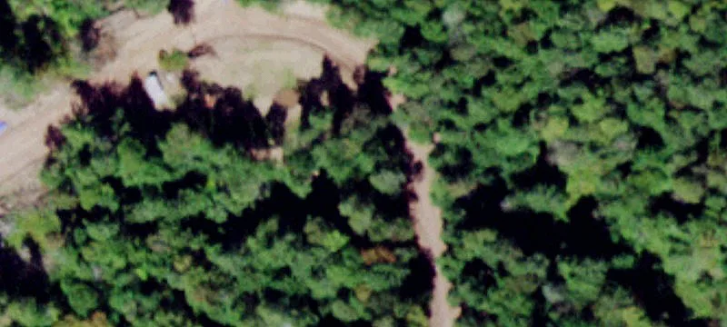 Pittaluga Rd
