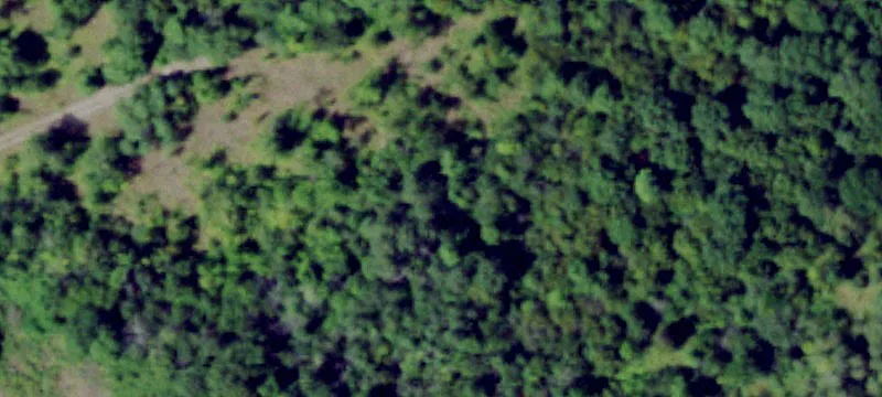 Sayre Rd