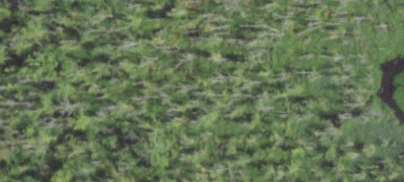 Rt 22