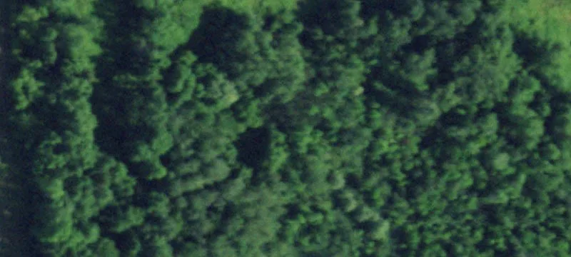 383 Rt 11