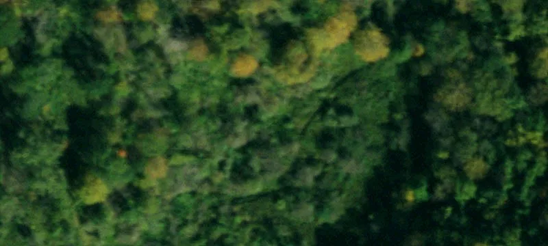 Nys Rte 16