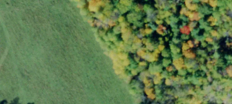 Gouverneur, NY 13642