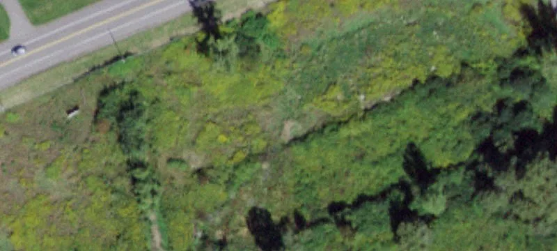 Dryden Rd