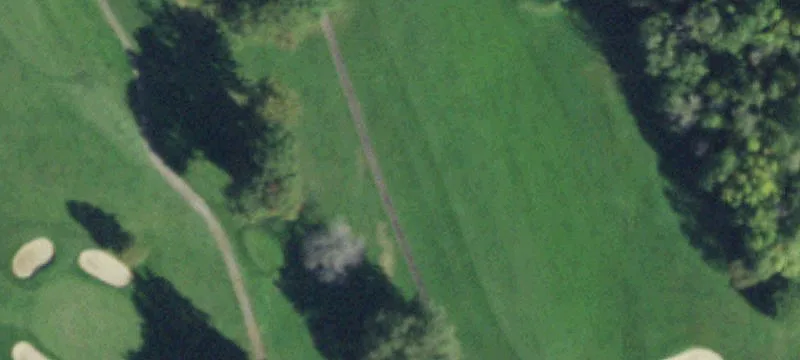 1165 Greenleaf Rd