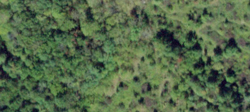Beaver Dm Rd